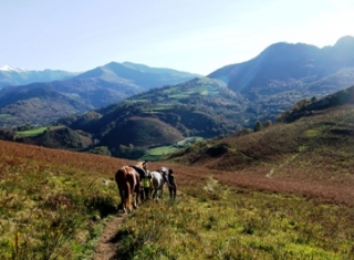 Loisirs equestres la ferme Couhet